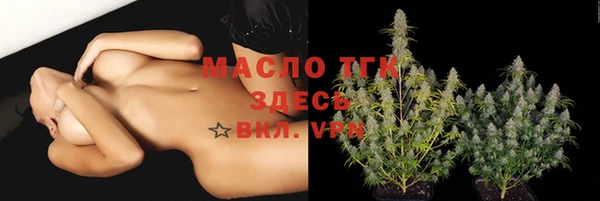 стафф Арсеньев