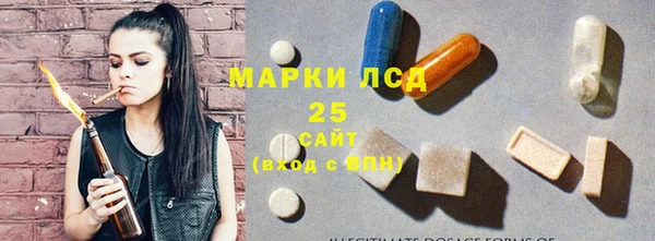 стафф Арсеньев