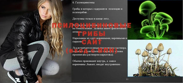 стафф Арсеньев