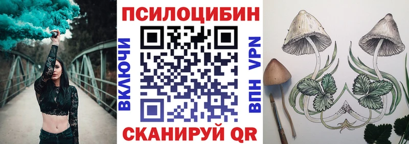 Псилоцибиновые грибы ЛСД Новоалтайск
